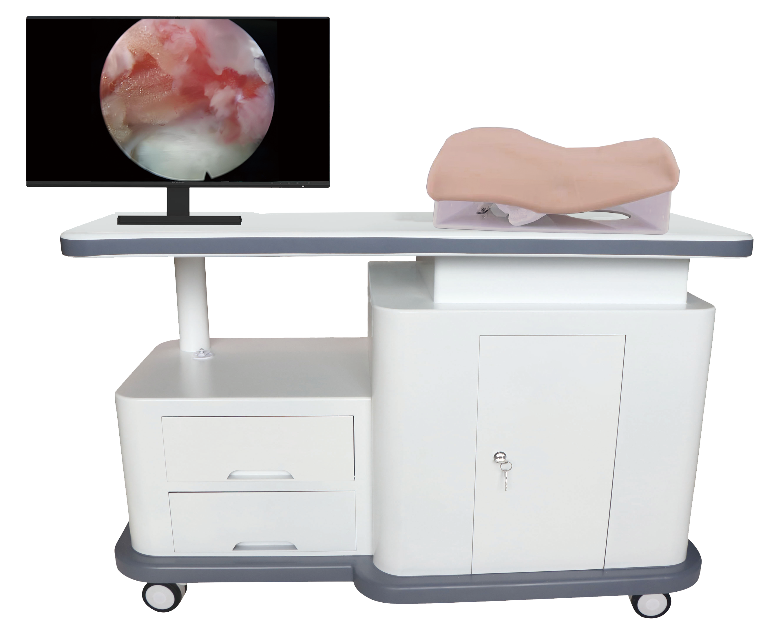 MW10000-200 椎间孔镜模拟训练系统